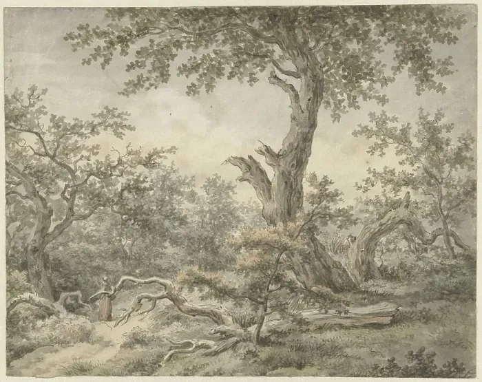 Framed Print : Forest landscape, 1756-1826. Creator: Cornelis Buys Framed Print : Forest landscape, 1756-1826. Creator: Cornelis Buys