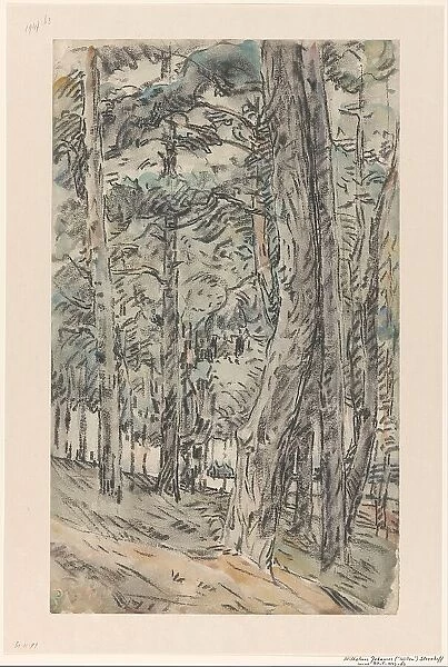 Forest landscape, 1873-1932. Creator: Willem Steenhoff