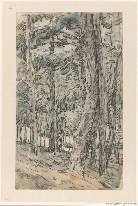 Framed Print : Forest landscape, 1873-1932. Creator: Willem Steenhoff Framed Print : Forest landscape, 1873-1932. Creator: Willem Steenhoff