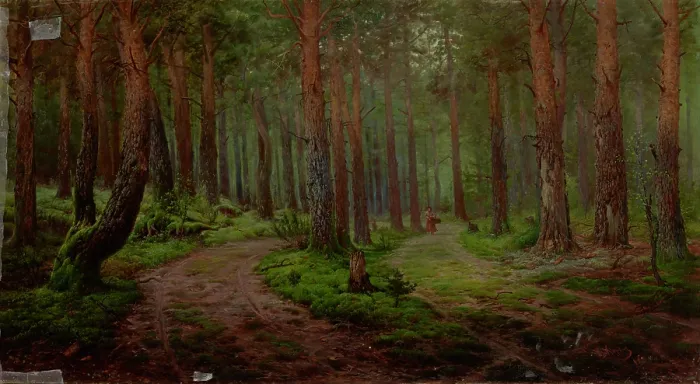 Framed Print : Forest Landscape, 1894. Creator: Karl Klopfer Framed Print : Forest Landscape, 1894. Creator: Karl Klopfer