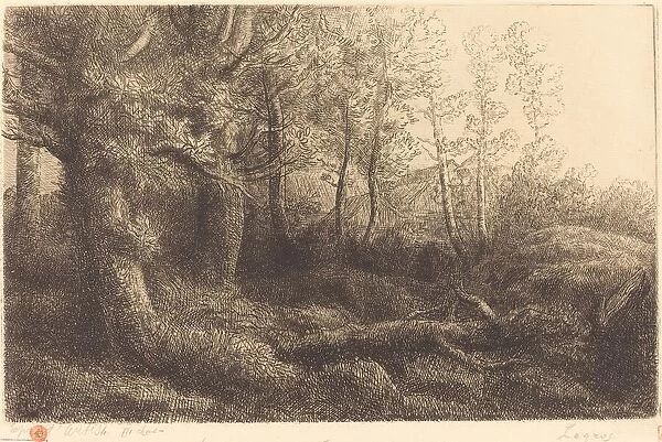 In the Forest (Lisiere de foret). Creator: Alphonse Legros