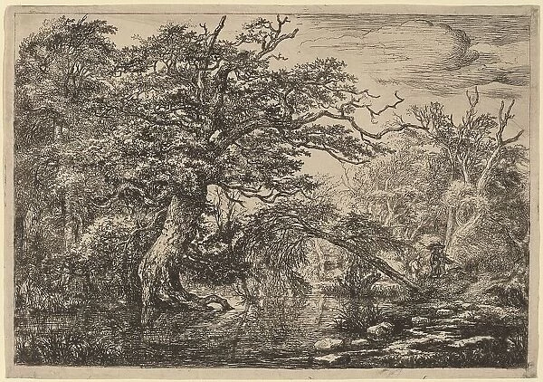 A Forest Marsh with Travelers on a Bank (The Travelers). Creator: Jacob van Ruisdael