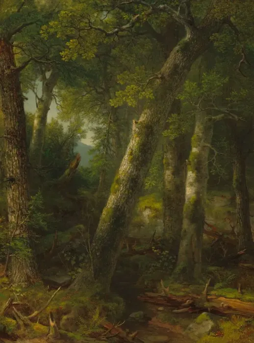 Framed Print : Forest in the Morning Light, c. 1855. Creator: Asher Brown Durand Framed Print : Forest in the Morning Light, c. 1855. Creator: Asher Brown Durand