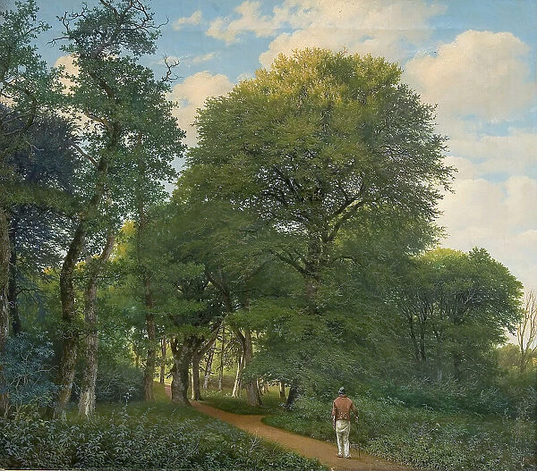 Forest near Charlottenlund, evening, 1818-1831. Creator: Heinrich Christian August Buntzen