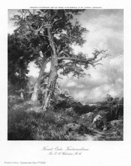 Framed Print : Forest Oaks, Fontainebleau, 1908. Artist: Sir Ernest Albert Waterlow Framed Print : Forest Oaks, Fontainebleau, 1908. Artist: Sir Ernest Albert Waterlow