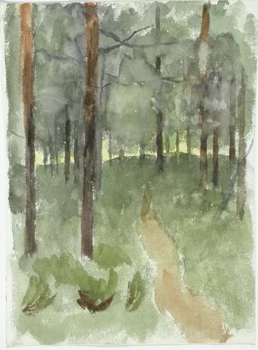 Framed Print : Forest path. Creator: Maria Wiik Framed Print : Forest path. Creator: Maria Wiik