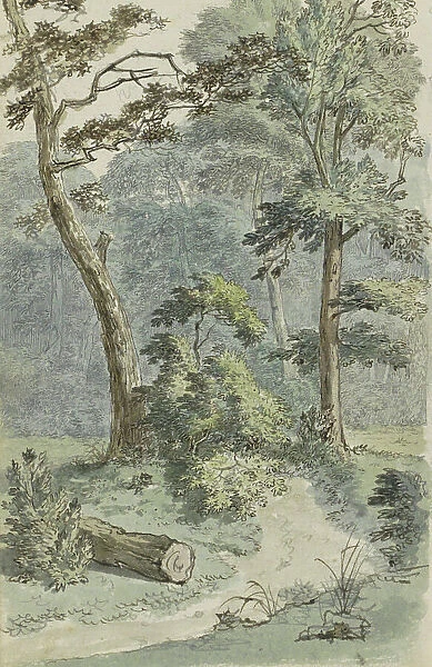 Forest path in a landscape, 1783. Creator: Johannes Huibert Prins