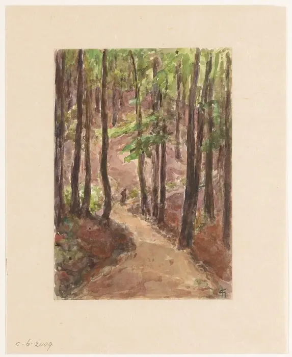 Framed Print : Forest road through the hills at Baden-Baden, 1907. Creator: Carel Nicolaas Storm Framed Print : Forest road through the hills at Baden-Baden, 1907. Creator: Carel Nicolaas Storm