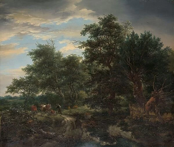Forest scene, 1653. Creator: Jacob van Ruisdael