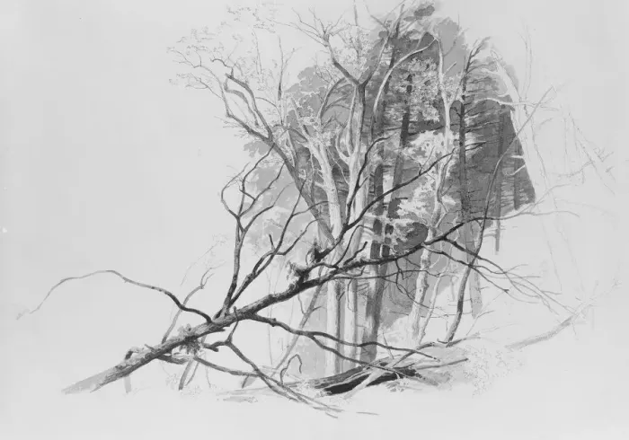 Framed Print : Forest Scene. Creator: Johann Hermann Carmiencke Framed Print : Forest Scene. Creator: Johann Hermann Carmiencke