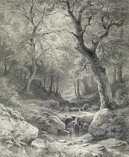 Forest Scene, second half 19th century. Creator: Paul Weber