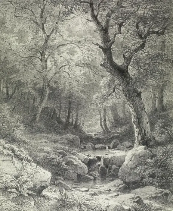 Framed Print : Forest Scene, second half 19th century. Creator: Paul Weber Framed Print : Forest Scene, second half 19th century. Creator: Paul Weber