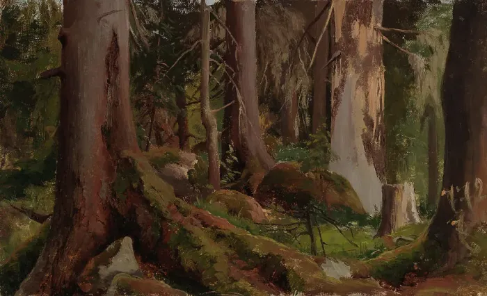 Framed Print : Forest, study, 1872. Creator: Fanny Churberg Framed Print : Forest, study, 1872. Creator: Fanny Churberg