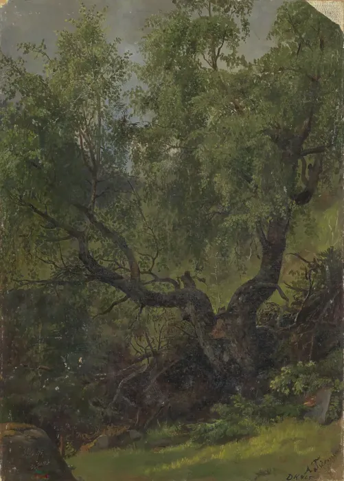Framed Print : Forest Study from Numedal, 1848. Creator: Adolph Tidemand Framed Print : Forest Study from Numedal, 1848. Creator: Adolph Tidemand