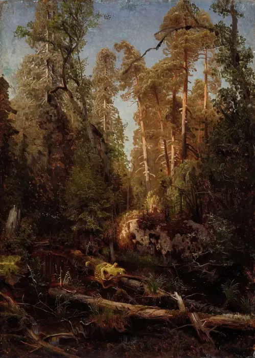 Framed Print : Forest Study, probably 1851. Creator: Herman August Cappelen Framed Print : Forest Study, probably 1851. Creator: Herman August Cappelen