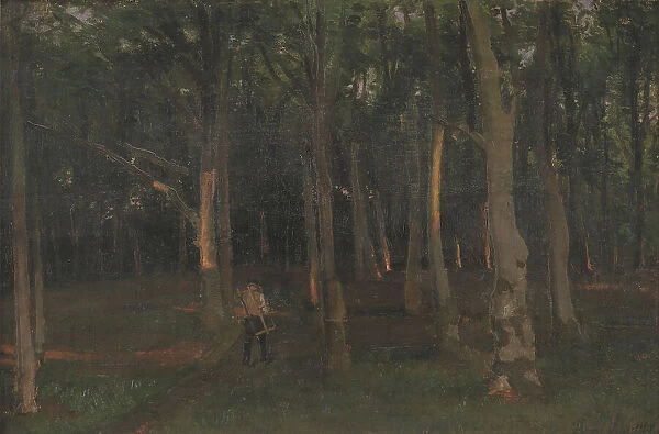 Forest at sunset, 1889. Creator: Hans Smidth