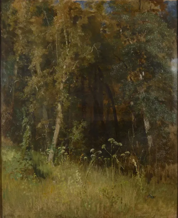 Framed Print : Forest Thicket, 1874 Framed Print : Forest Thicket, 1874