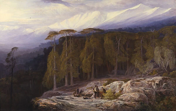 The Forest of Valdoniello, Corsica, 1869. Creator: Edward Lear