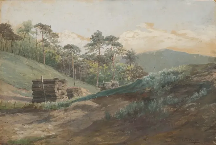 Framed Print : A forest valley with pine trees, around 1894-1895. Creator: Ludovit Cordak Framed Print : A forest valley with pine trees, around 1894-1895. Creator: Ludovit Cordak