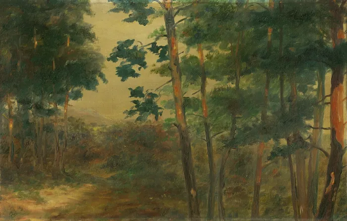 Framed Print : Forest view, 1902-1908. Creator: Elemir Halasz-Hradil Framed Print : Forest view, 1902-1908. Creator: Elemir Halasz-Hradil
