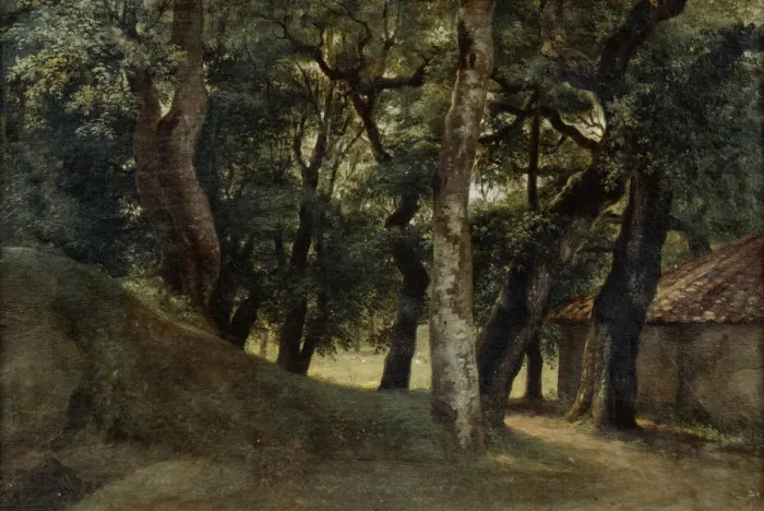 Framed Print : Forest of the Villa Borghese, late 18th / early 19th century. Artist: Pierre Henri de Valenciennes Framed Print : Forest of the Villa Borghese, late 18th / early 19th century. Artist: Pierre Henri de Valenciennes