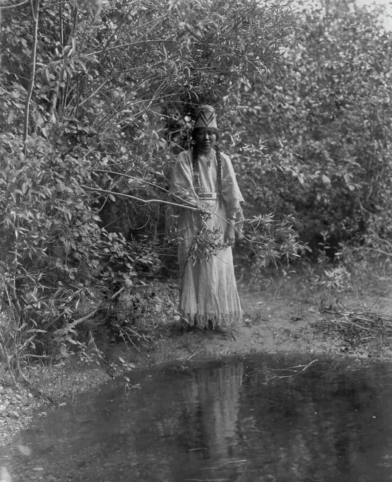 Framed Print : Out of the forests depths stepped an Indian maiden, c1905. Creator: Edward Sheriff Curtis Framed Print : Out of the forests depths stepped an Indian maiden, c1905. Creator: Edward Sheriff Curtis