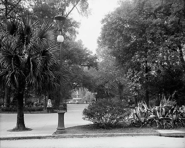 Forsyth Park, Savannah, Ga. between 1900 and 1910. Creator: Unknown