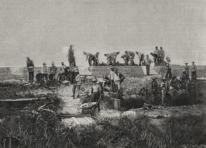 Framed Print : Fortification works on the coast of Santiago de Cuba, Cuban War of Independence (1895-1898), 1898. Creator: Arturo Carretero y Sanchez