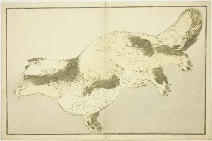 Framed Print : Fox, from The Picture Book of Realistic Paintings of Hokusai (Hokusai shashin gafu) Framed Print : Fox, from The Picture Book of Realistic Paintings of Hokusai (Hokusai shashin gafu)