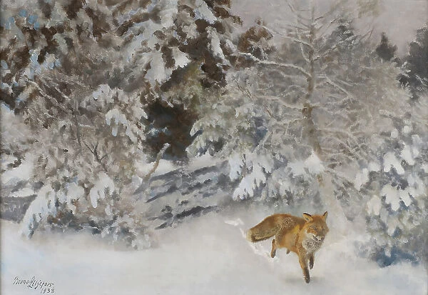 Fox in Winter Landscape, 1938. Creator: Bruno Liljefors