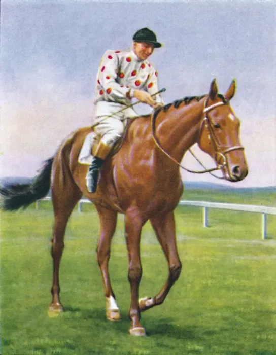 Framed Print : Foxbrough II, Jockey: P. Beasley, 1939