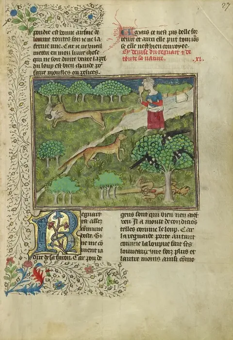 Framed Print : Foxes and their Ruses; Livre de la Chasse, about 1430-1440. Creator: Unknown Framed Print : Foxes and their Ruses; Livre de la Chasse, about 1430-1440. Creator: Unknown