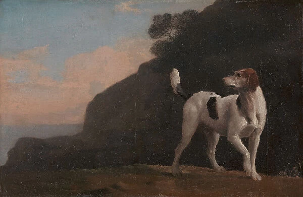 Foxhound; A Foxhound, ca. 1760. Creator: George Stubbs