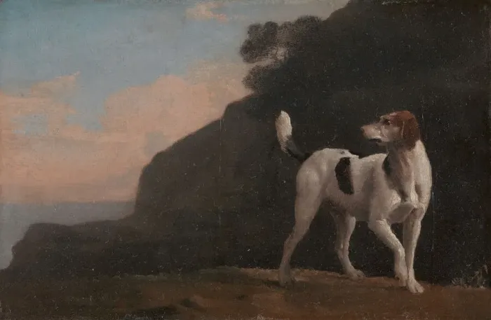 Framed Print : Foxhound; A Foxhound, ca. 1760. Creator: George Stubbs Framed Print : Foxhound; A Foxhound, ca. 1760. Creator: George Stubbs