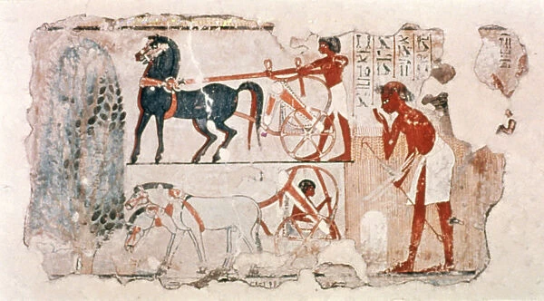 Fragment of Ancient Egyptian painted plaster depicting the account of the harvest, c1400 BC