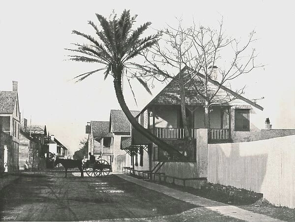 Francis Street, St Augustine, USA, 1895. Creator: Unknown
