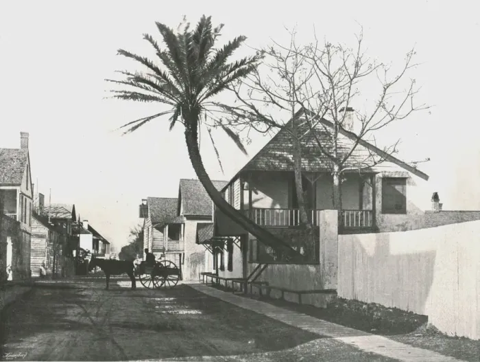 Framed Print : Francis Street, St Augustine, USA, 1895. Creator: Unknown Framed Print : Francis Street, St Augustine, USA, 1895. Creator: Unknown