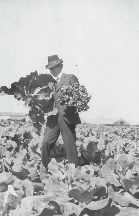 Framed Print : Frank G. Carpenter on Mr. Rickert's farm, between c1900 and 1916. Creator: Unknown