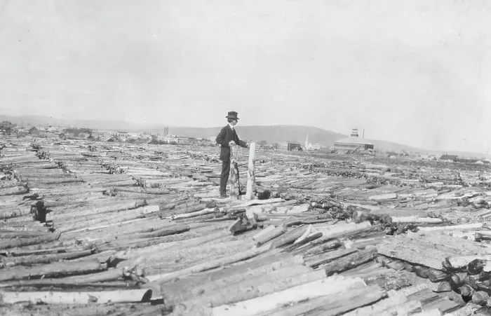 Framed Print : Frank G. Carpenter on woodpile, between c1900 and 1916. Creator: Unknown Framed Print : Frank G. Carpenter on woodpile, between c1900 and 1916. Creator: Unknown