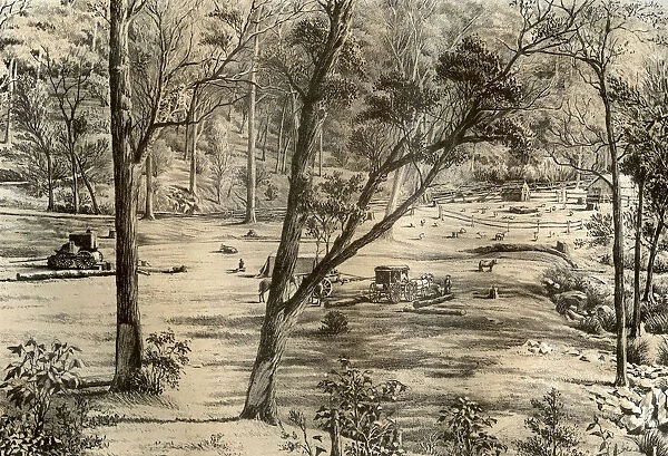 Free selectors hut, Australia, 1879. Artist: McFarlane and Erskine