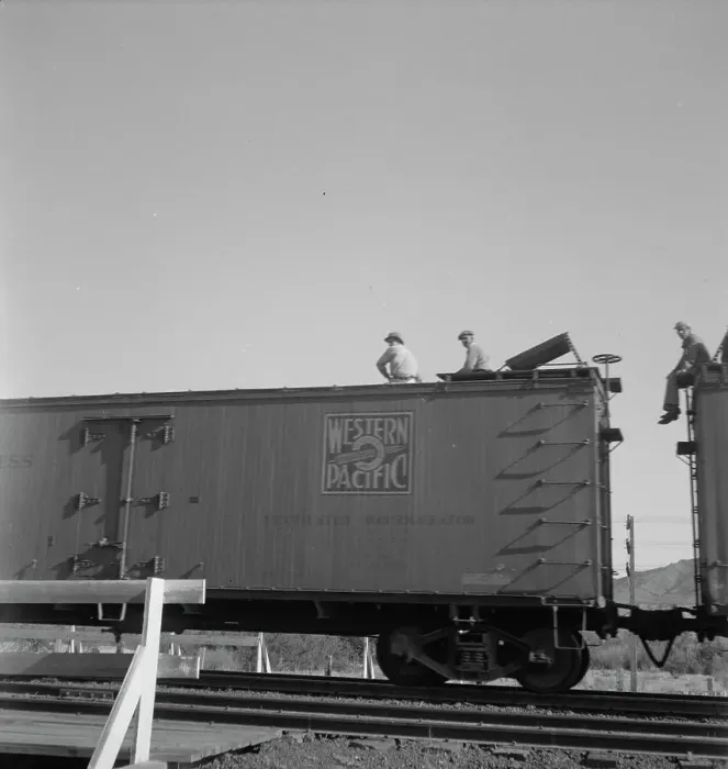 Framed Print : Freight moving east near Odessa, Texas, 1937. Creator: Dorothea Lange Framed Print : Freight moving east near Odessa, Texas, 1937. Creator: Dorothea Lange