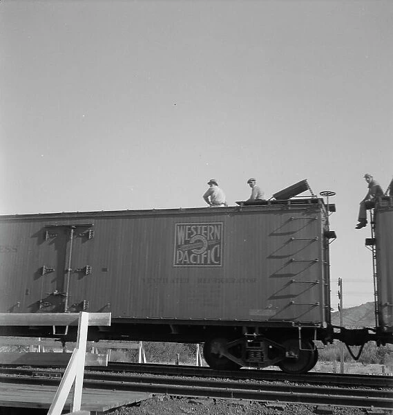 Freight moving east near Odessa, Texas, 1937. Creator: Dorothea Lange