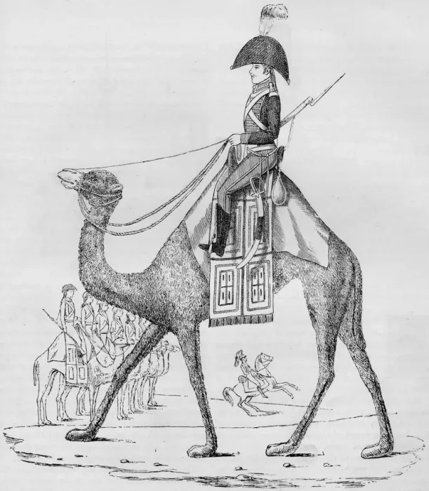 Framed Print : French Domedary Regiment. Captured with a Convoy in the Lybian Desert, May, 1801, (1884) Framed Print : French Domedary Regiment. Captured with a Convoy in the Lybian Desert, May, 1801, (1884)
