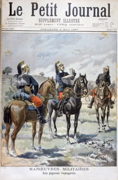 Framed Print : French military manoeuvres: using carrier pigeons to communicate, 1897. Artist: Oswaldo Tofani Framed Print : French military manoeuvres: using carrier pigeons to communicate, 1897. Artist: Oswaldo Tofani