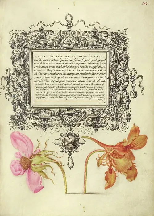 Framed Print : French Rose and Dwarf Nasturtium, 1561-1562; illumination added 1591-1596. Creator: Joris Hoefnagel Framed Print : French Rose and Dwarf Nasturtium, 1561-1562; illumination added 1591-1596. Creator: Joris Hoefnagel