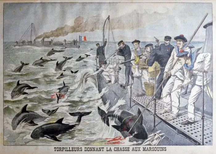 Framed Print : French torpedo boats hunting porpoises, 1903 Framed Print : French torpedo boats hunting porpoises, 1903