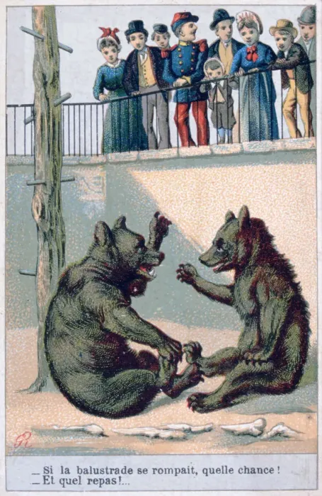 Framed Print : French zoological postcard, 19th century Framed Print : French zoological postcard, 19th century