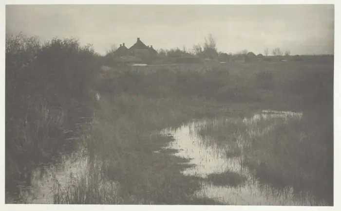 Framed Print : The Fringe of the Marsh, 1886. Creator: Peter Henry Emerson Framed Print : The Fringe of the Marsh, 1886. Creator: Peter Henry Emerson