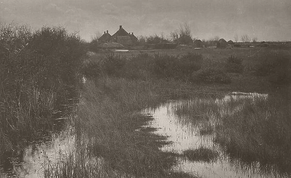 The Fringe of the Marsh, 1886. Creator: Peter Henry Emerson