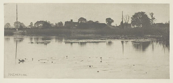 The Fringe of the Mere, c. 1883  /  87, printed 1888. Creator: Peter Henry Emerson